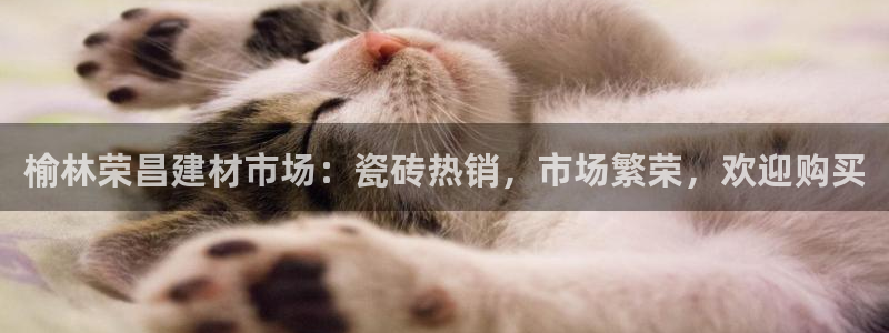 杏鑫平台野马联盟怎么样