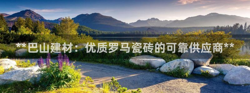 杏鑫平台野马联盟怎么样