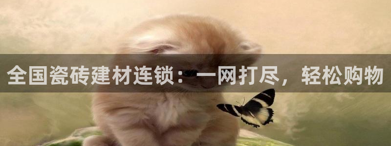 杏鑫平台注册网址是多少