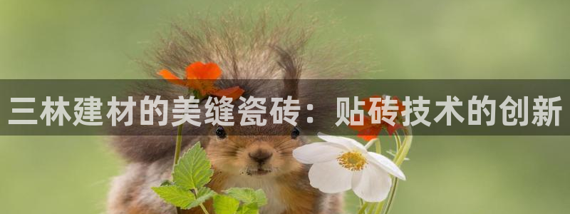 杏鑫平台线路测速