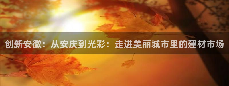 杏鑫官方app代理