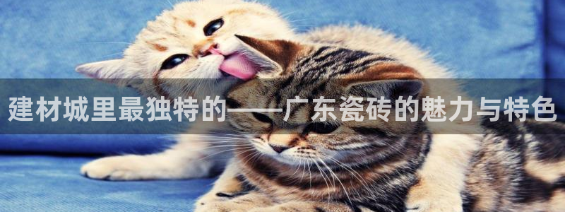 杏鑫平台招商怎么样